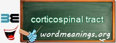 WordMeaning blackboard for corticospinal tract